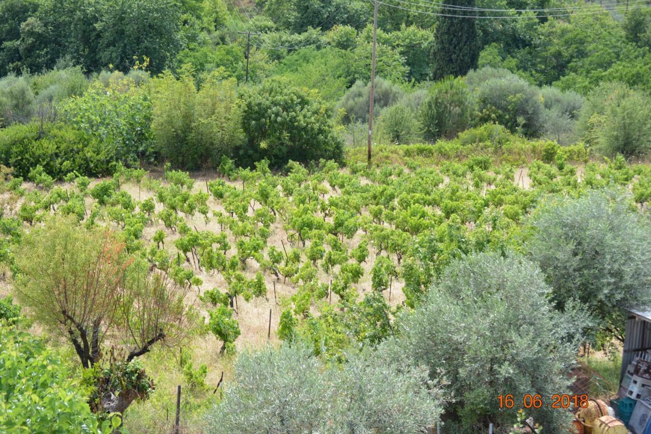 Eleni'S Village Relaxation Home Edipsos Exterior foto