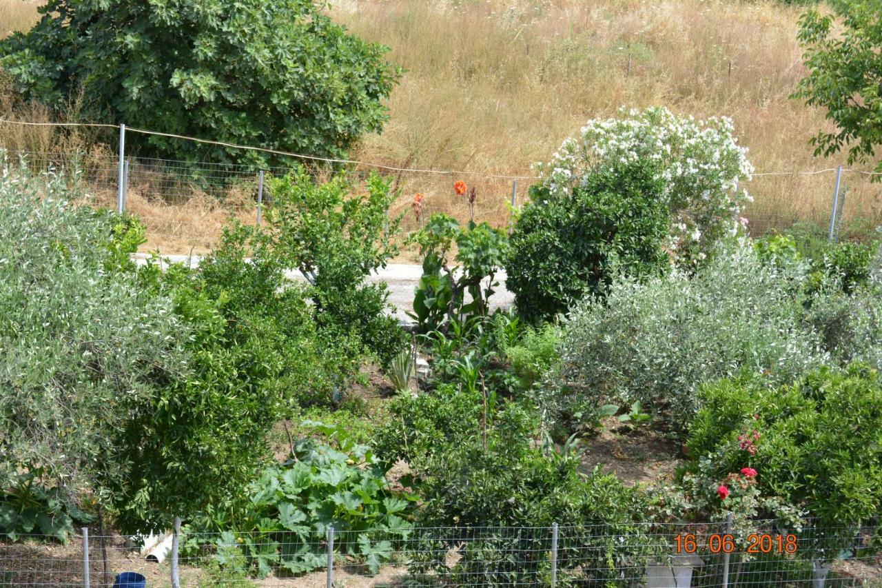 Eleni'S Village Relaxation Home Edipsos Exterior foto